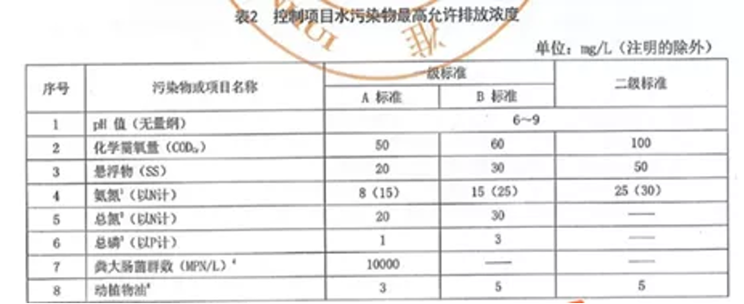 1000 (16).png